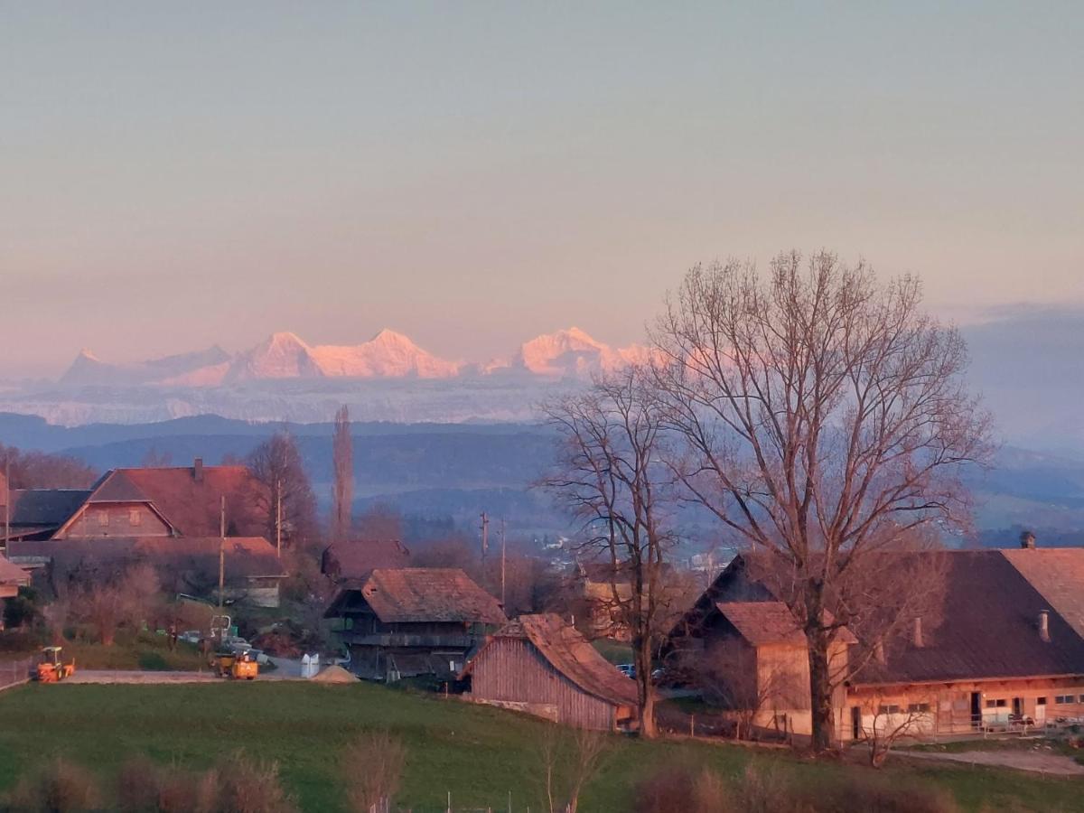 Alpenblick Ferenberg Bern Hotell Stettlen Exteriör bild